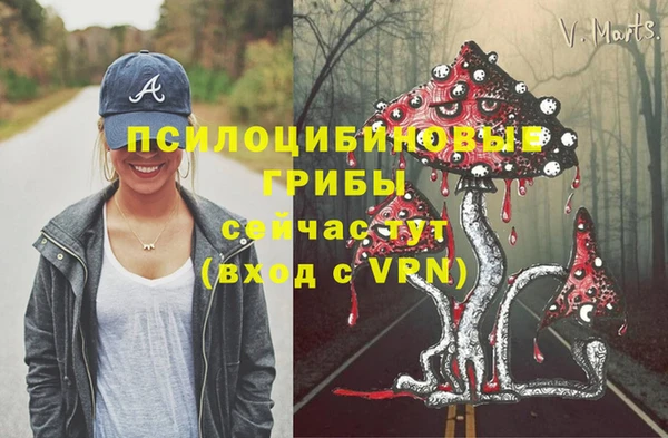 амф Кинешма