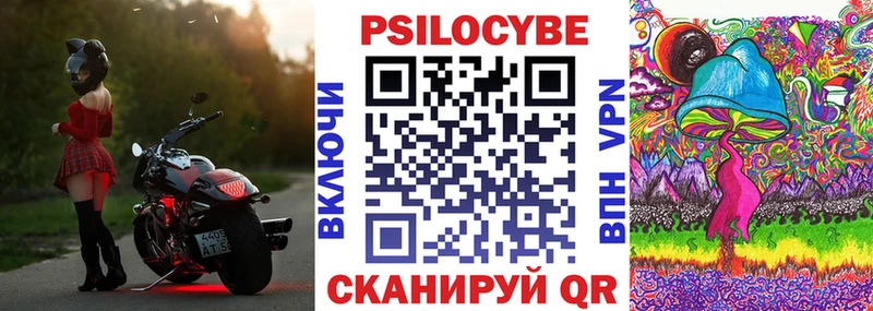 что такое   Вышний Волочёк  blacksprut ССЫЛКА  Псилоцибиновые грибы прущие грибы 